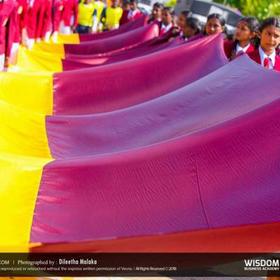 29541120 1301428560001770 6483265717230998649 N